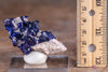 Raw AZURITE Crystal Cluster - Raw Rocks and Minerals, Home Decor, Unique Gift, 39072-Throwin Stones