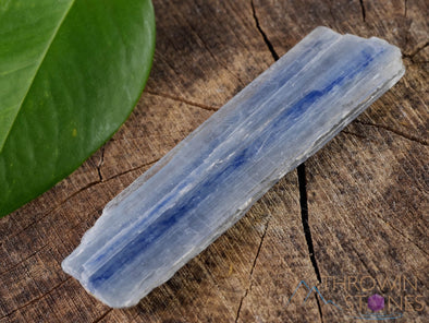 Raw Blue KYANITE Crystals - Metaphysical Home Decor, Raw Rocks and Minerals, E0762-Throwin Stones