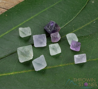 Raw FLUORITE Crystal Octahedron - Metaphysical Home Decor, Raw Rocks and Minerals, E1234-Throwin Stones