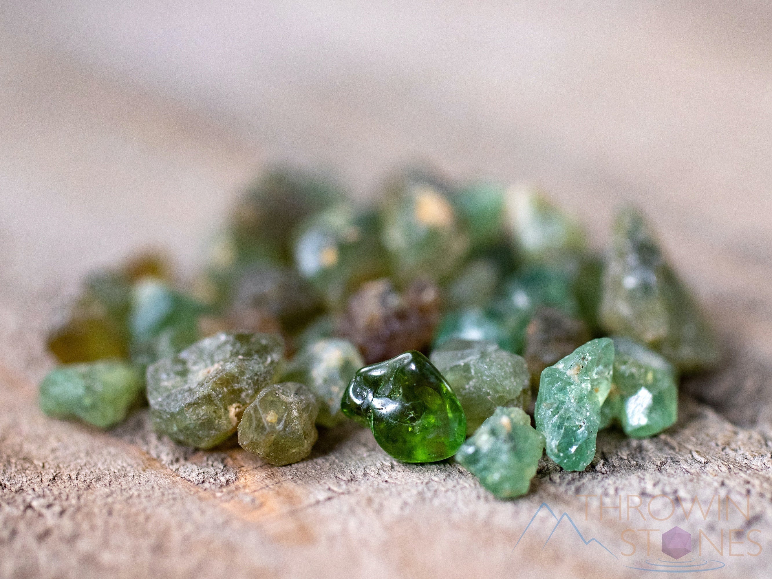 Green Garnet Tumbled Pocket Stone - Minera Emporium Crystal
