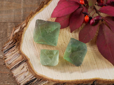 Raw Green FLUORITE Crystal Octahedron - Metaphysical Home Decor, Raw Rocks and Minerals, E0559-Throwin Stones