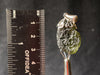 Raw MOLDAVITE Pendant - Sterling Silver, Leaf Bail - Moldavite Necklace Pendant, Genuine Moldavite Jewelry, 44583-Throwin Stones