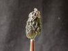 Raw MOLDAVITE Pendant - Sterling Silver, Leaf Bail - Moldavite Necklace Pendant, Genuine Moldavite Jewelry, 44598-Throwin Stones