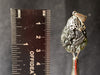 Raw MOLDAVITE Pendant - Sterling Silver, Leaf Bail - Moldavite Necklace Pendant, Pure Moldavite Jewelry, 44577-Throwin Stones