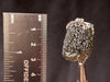 Raw MOLDAVITE Pendant - Sterling Silver, Leaf Bail - Real Moldavite Pendant, Moldavite Jewelry with Certification, 44525-Throwin Stones