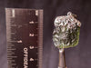 Raw MOLDAVITE Pendant - Sterling Silver, Leaf Bail - Real Moldavite Pendant, Moldavite Jewelry with Certification, 44543-Throwin Stones