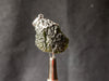 Raw MOLDAVITE Pendant - Sterling Silver, Leaf Bail - Real Moldavite Pendant, Moldavite Jewelry with Certification, 44565-Throwin Stones