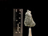 Raw MOLDAVITE Pendant - Sterling Silver, Leaf Bail - Real Moldavite Pendant, Moldavite Jewelry with Certification, 47935-Throwin Stones
