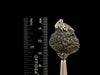 Raw MOLDAVITE Pendant - Sterling Silver, Leaf Bail - Real Moldavite Pendant, Moldavite Jewelry with Certification, 47971-Throwin Stones