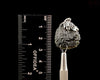 Raw MOLDAVITE Pendant - Sterling Silver, Leaf Bail - Real Moldavite Pendant, Moldavite Jewelry with Certification, 52071-Throwin Stones