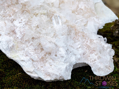 Raw Pink Himalayan QUARTZ Crystal Cluster - Large Crystals, Raw Rocks and Minerals, Home Decor, Unique Gift, 39749-Throwin Stones