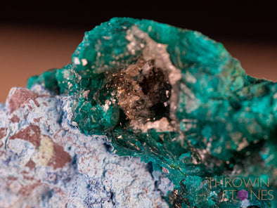 Raw QUARTZ Druzy with DIOPTASE on SHATTUCKITE Crystal Cluster - Large Crystals, Raw Rocks and Minerals, Home Decor, Unique Gift, 39216-Throwin Stones