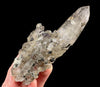 Raw WITCHES FINGER QUARTZ Crystal - Raw Rocks and Minerals, Home Decor, Unique Gift, 53263-Throwin Stones