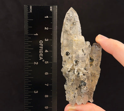 Raw WITCHES FINGER QUARTZ Crystal - Raw Rocks and Minerals, Home Decor, Unique Gift, 53263-Throwin Stones