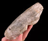 Raw WITCHES FINGER QUARTZ Crystal - Raw Rocks and Minerals, Home Decor, Unique Gift, 53272-Throwin Stones