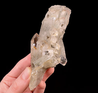 Raw WITCHES FINGER QUARTZ Crystal - Raw Rocks and Minerals, Home Decor, Unique Gift, 53291-Throwin Stones
