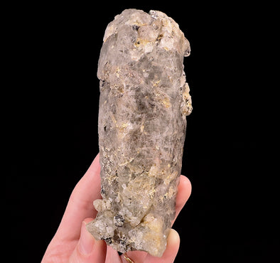 Raw WITCHES FINGER QUARTZ Crystal - Raw Rocks and Minerals, Home Decor, Unique Gift, 53292-Throwin Stones