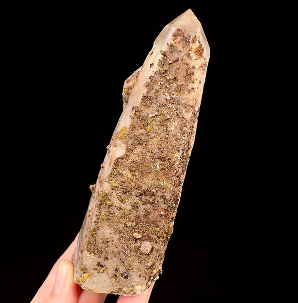 Raw WITCHES FINGER QUARTZ Crystal - Raw Rocks and Minerals, Home Decor, Unique Gift, 53318-Throwin Stones
