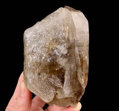 Raw WITCHES FINGER QUARTZ Crystal - Raw Rocks and Minerals, Home Decor, Unique Gift, 53319-Throwin Stones