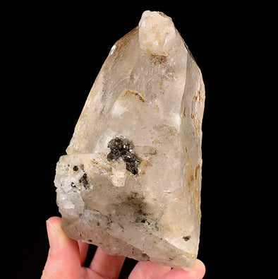Raw WITCHES FINGER QUARTZ Crystal - Raw Rocks and Minerals, Home Decor, Unique Gift, 53324-Throwin Stones