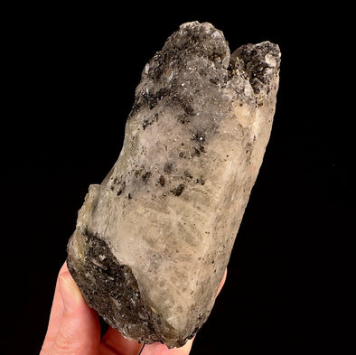 Raw WITCHES FINGER QUARTZ Crystal - Raw Rocks and Minerals, Home Decor, Unique Gift, 53327-Throwin Stones
