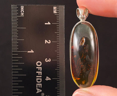 Red AMBER Pendant - Crystal Pendant, Fine Jewelry, Healing Crystals and Stones, 52628-Throwin Stones