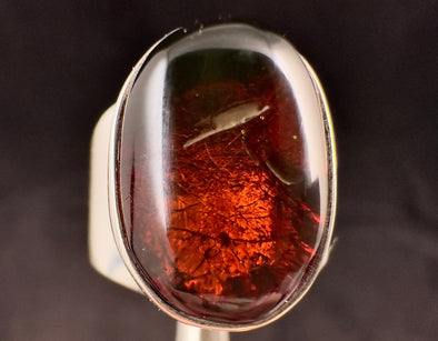 Red AMBER Ring - SIZE 7.5- Genuine Sterling Silver Ring with a Polished AMBER Center Stone, 53766-Throwin Stones