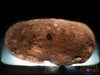 SAFFORDITE, Cintamani Stone, Light - Obsidian, Tektite, Raw Crystals, Healing Crystals and Stones, 40588-Throwin Stones