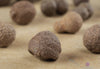 SANDSTONE Concretions - Metaphysical, Raw Rocks and Minerals, Home Decor, E0114-Throwin Stones