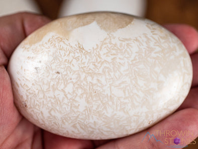 SCOLECITE Crystal Palm Stone - Large - Worry Stone, Self Care, Healing Crystals and Stones, E1886-Throwin Stones