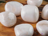 SCOLECITE Tumbled Stones - Tumbled Crystals, Self Care, Healing Crystals and Stones, E0838-Throwin Stones