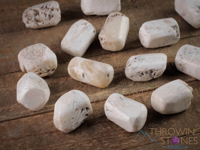 SCOLECITE Tumbled Stones - Tumbled Crystals, Self Care, Healing Crystals and Stones, E1463-Throwin Stones