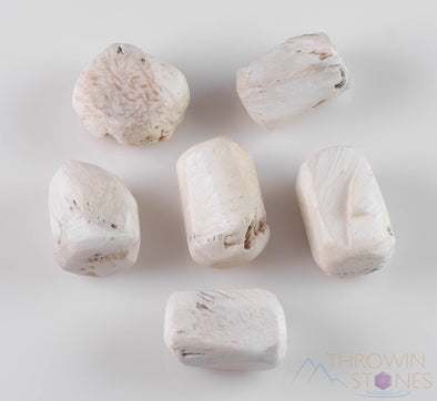 SCOLECITE Tumbled Stones - Tumbled Crystals, Self Care, Healing Crystals and Stones, E1463-Throwin Stones
