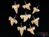 SHARK TOOTH Pendant - Otodus Fossil, Shark Teeth, Wire Wrapped Jewelry, Necklace Earrings, Jewelry Making, E0048-Throwin Stones