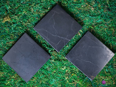 SHUNGITE Crystal Square Plate - EMF Protection, Crystal Tray, Metaphysical, E1838-Throwin Stones