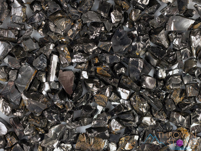 SHUNGITE Raw Crystal Chips from Raquirite, Colombia - Home Decor, Protection, Stone Collections, E1729-Throwin Stones