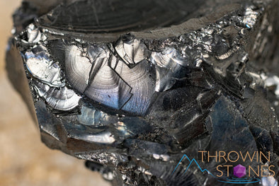 SHUNGITE Raw Crystal from Raquirite, Colombia - Home Decor, Collections, E2084-Throwin Stones