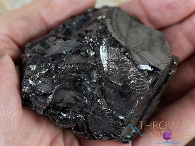 SHUNGITE Raw Crystal from Raquirite, Colombia - Home Decor, Collections, E2084-Throwin Stones