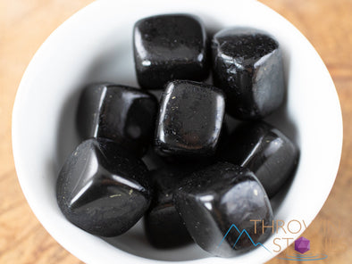 SHUNGITE Tumbled Stones - Tumbled Crystals, Self Care, Healing Crystals and Stones, E1212-Throwin Stones