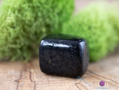 SHUNGITE Tumbled Stones - Tumbled Crystals, Self Care, Healing Crystals and Stones, E1212-Throwin Stones