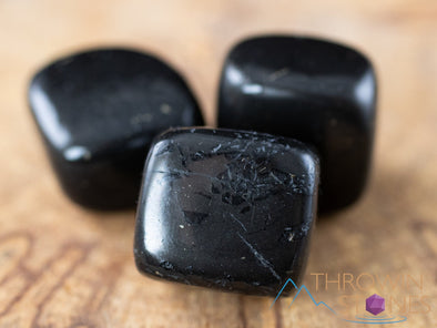 SHUNGITE Tumbled Stones - Tumbled Crystals, Self Care, Healing Crystals and Stones, E1212-Throwin Stones