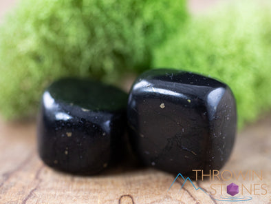 SHUNGITE Tumbled Stones - Tumbled Crystals, Self Care, Healing Crystals and Stones, E1212-Throwin Stones