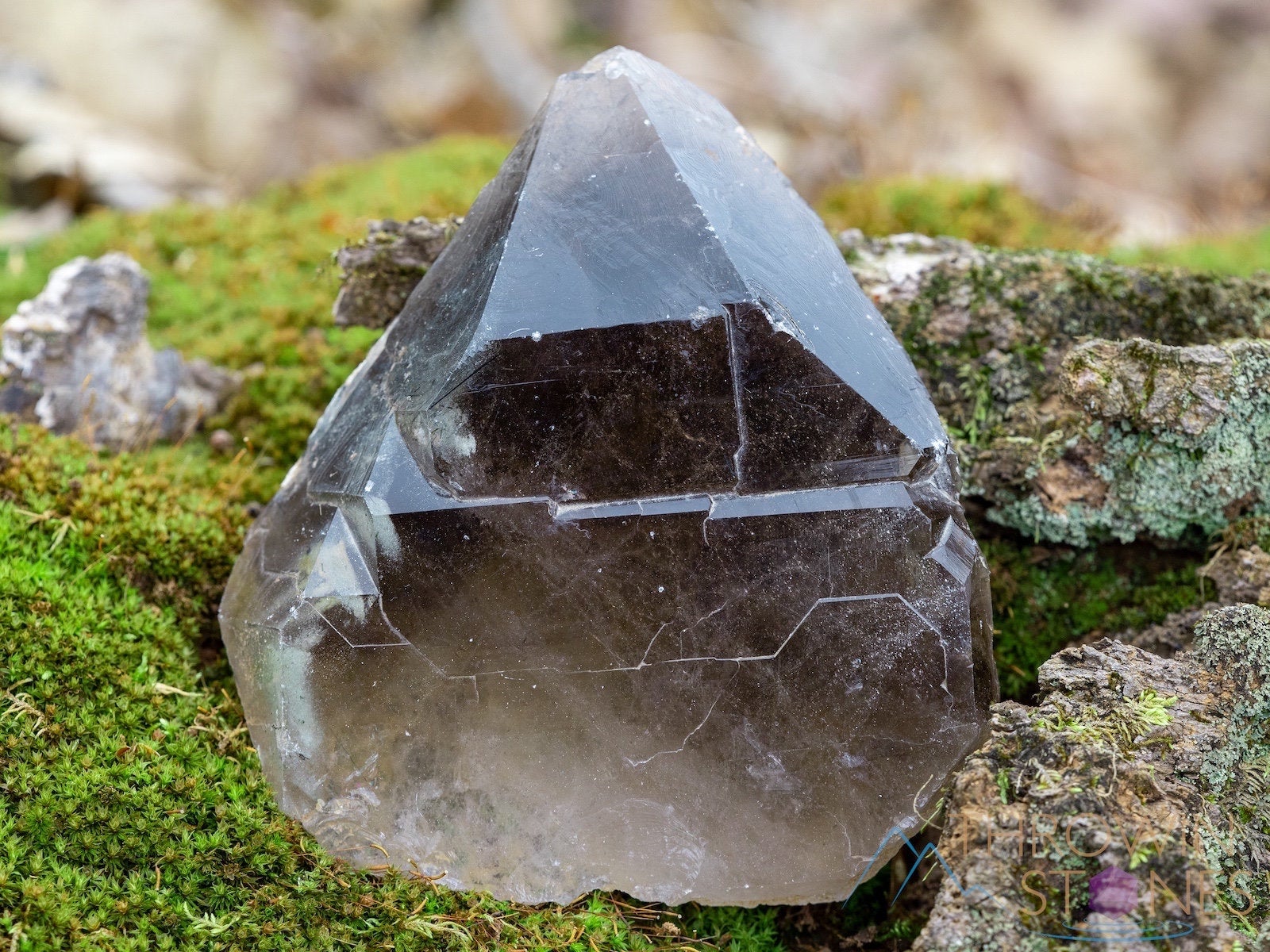 SMOKY QUARTZ Crystal - Large Crystals, Raw Rocks and Minerals, Home De –  Throwin Stones