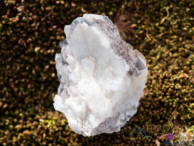SMOKY QUARTZ w HEMATITE Phantom, Raw Crystal Cluster - Housewarming Gift, Home Decor, Raw Crystals and Stones, 39861-Throwin Stones