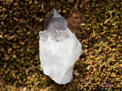 SMOKY QUARTZ w HEMATITE Phantom, Raw Crystal Cluster - Housewarming Gift, Home Decor, Raw Crystals and Stones, 39862-Throwin Stones