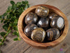 STROMATOLITE Fossil Tumbled Stones - Tumbled Crystals, Self Care, Healing Crystals and Stones, E1105-Throwin Stones