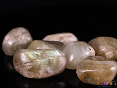 Sunfire MOONSTONE Tumbled Stones - Tumbled Crystals, Self Care, Healing Crystals and Stones, E1149-Throwin Stones