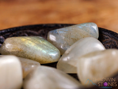 Sunfire MOONSTONE Tumbled Stones - Tumbled Crystals, Self Care, Healing Crystals and Stones, E1149-Throwin Stones