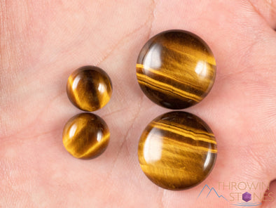 TIGERS EYE Crystal Cabochons - Round Pair - Gemstones, Jewelry Making, Crystals, E1982-Throwin Stones
