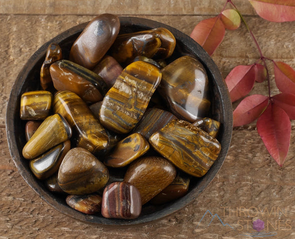 TIGERS EYE Tumbled Stones - Tumbled Crystals, Self Care, Healing Crystals and Stones, E0437-Throwin Stones